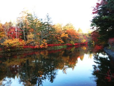 雲場池の紅葉